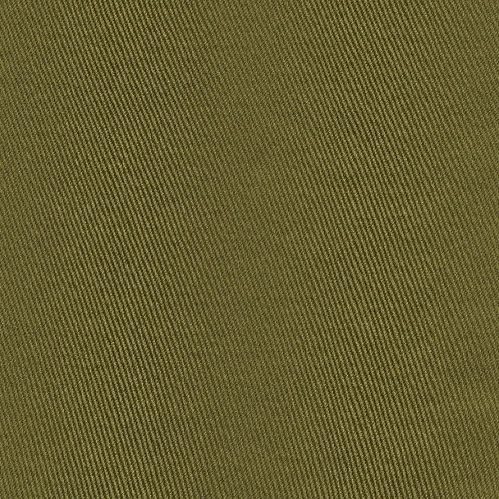 Grand Soiree Avocado by Kasmir Fabric 1381 60% Polyester
40% Cotton
 INDIA </p><p>Repeat: Horizontal: N/A and Vertical: N/A 54 - 55 - Fabric Carolina -