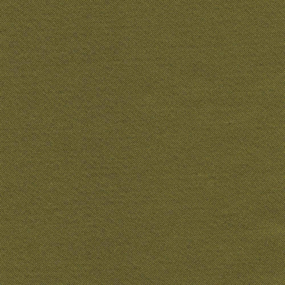 Grand Soiree Avocado by Kasmir Fabric 1381 60% Polyester 40% Cotton INDIA 60,000 Wyzenbeek Double Rubs H: N/A, V:N/A 54 - 55 - Fabric Carolina - Kasmir