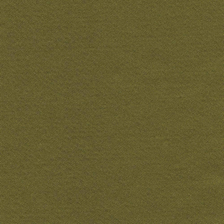Grand Soiree Avocado by Kasmir Fabric 1381 60% Polyester 40% Cotton INDIA 60,000 Wyzenbeek Double Rubs H: N/A, V:N/A 54 - 55 - Fabric Carolina - Kasmir