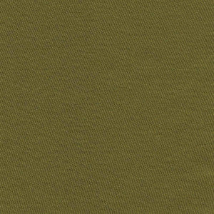 Grand Soiree Avocado by Kasmir Fabric