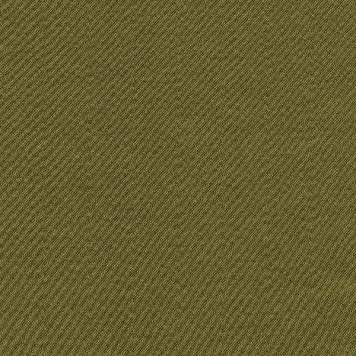 Grand Soiree Avocado by Kasmir Fabric 1381 60% Polyester
40% Cotton
 INDIA 60,000 Wyzenbeek Double Rubs Horizontal: N/A and Vertical: N/A 54 - Fabric Carolina -
