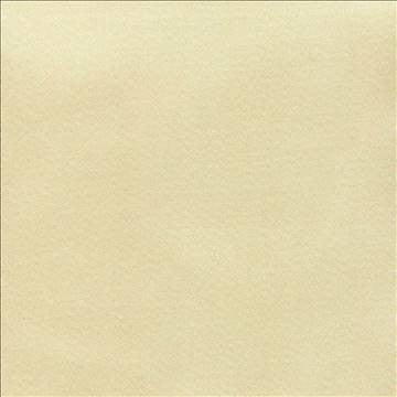 Grand Soiree Butter by Kasmir Fabric 1381 60% Polyester 40% Cotton INDIA 60,000 Wyzenbeek Double Rubs H: N/A, V: N/A 54 - 55 - Fabric Carolina - Kasmir