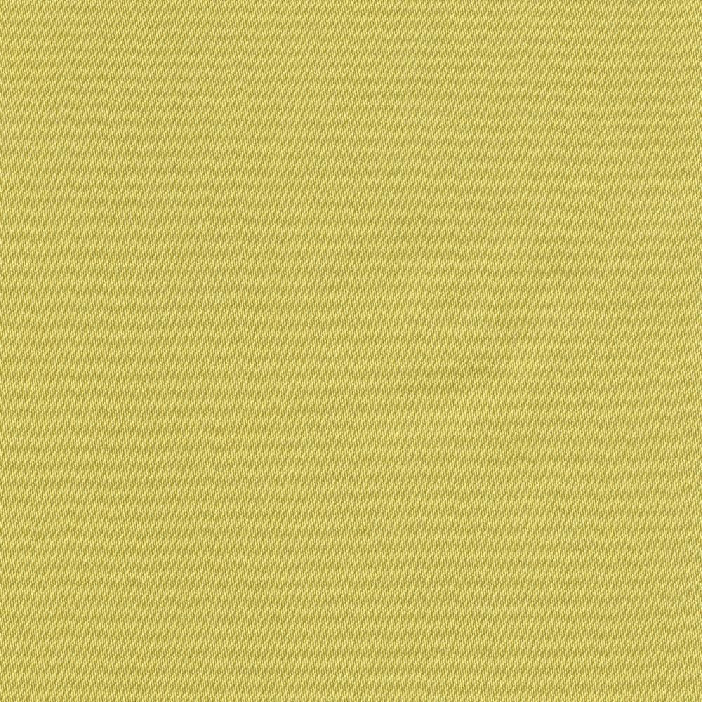 Grand Soiree Citron by Kasmir Fabric 1381 60% Polyester
40% Cotton
 INDIA </p><p>Repeat: Horizontal: N/A and Vertical: N/A 54 - 55 - Fabric Carolina -