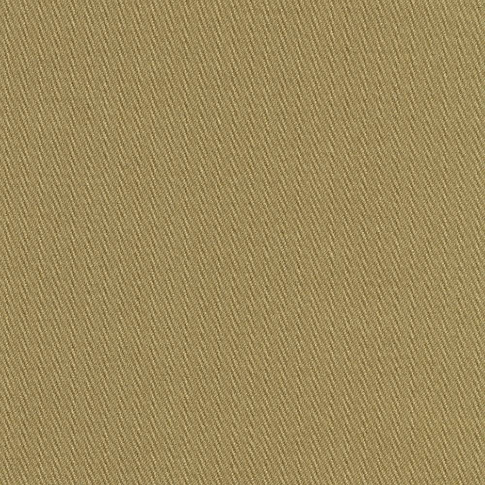 Grand Soiree Moss by Kasmir Fabric 1381 60% Polyester 40% Cotton INDIA 60,000 Wyzenbeek Double Rubs H: N/A, V:N/A 54 - 55 - Fabric Carolina - Kasmir