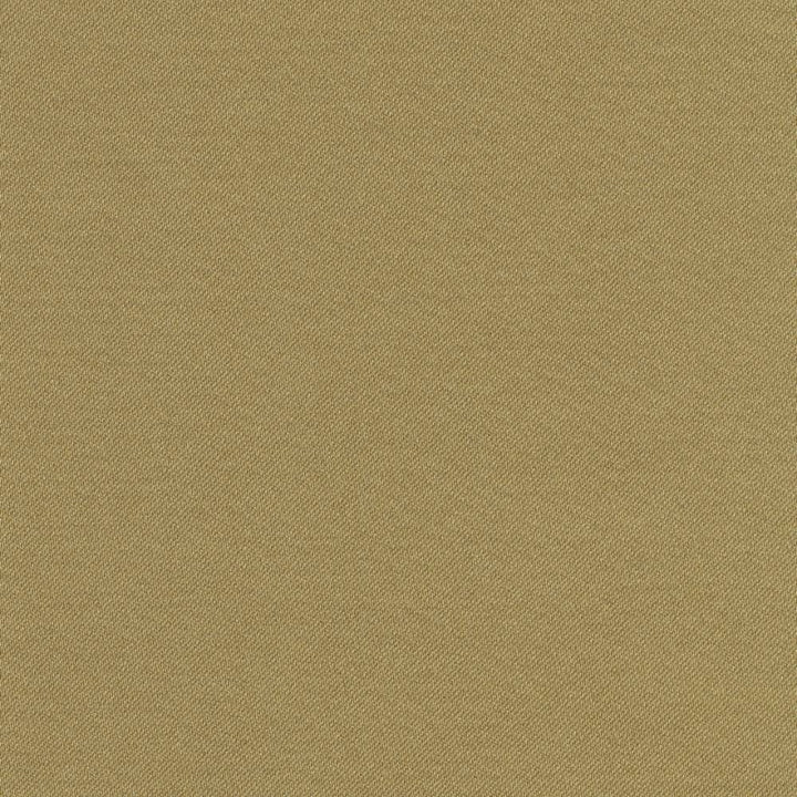 Grand Soiree Moss by Kasmir Fabric 1381 60% Polyester 40% Cotton INDIA 60,000 Wyzenbeek Double Rubs H: N/A, V:N/A 54 - 55 - Fabric Carolina - Kasmir