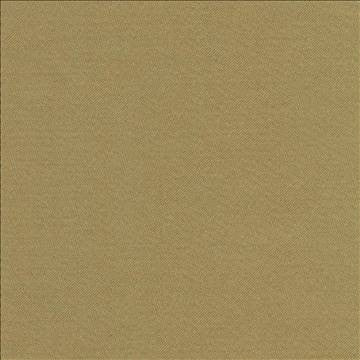 Grand Soiree Moss by Kasmir Fabric 1381 60% Polyester 40% Cotton INDIA 60,000 Wyzenbeek Double Rubs H: N/A, V: N/A 54 - 55 - Fabric Carolina - Kasmir