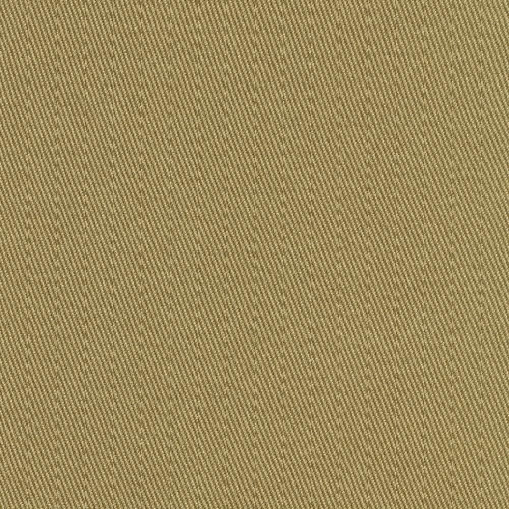 Grand Soiree Moss by Kasmir Fabric 1381 60% Polyester 40% Cotton INDIA 60,000 Wyzenbeek Double Rubs Horizontal: 0 Inches and Vertical: 0 Inches 54 - 55 - Fabric Carolina -