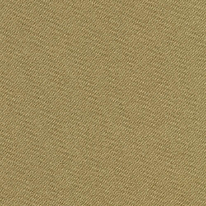Grand Soiree Moss  by Kasmir Fabric See sample 60% Polyester
40% Cotton
 INDIA 60,000 Wyzenbeek Double Rubs </p><p>Repeat: Horizontal: N/A and Vertical: N/A 54  - Fabric Carolina -