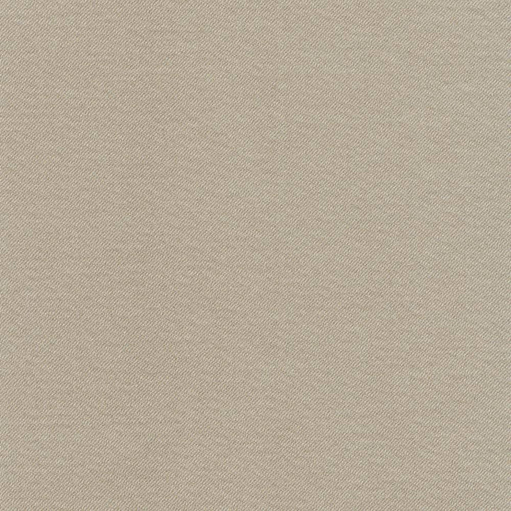 Grand Soiree Mouse by Kasmir Fabric 1381 60% Polyester 40% Cotton INDIA 60,000 Wyzenbeek Double Rubs H: N/A, V:N/A 54 - 55 - Fabric Carolina - Kasmir