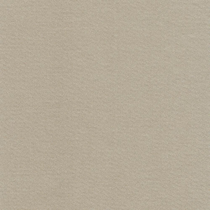 Grand Soiree Mouse by Kasmir Fabric 1381 60% Polyester 40% Cotton INDIA 60,000 Wyzenbeek Double Rubs Horizontal: 0 Inches and Vertical: 0 Inches 54 - 55 - Fabric Carolina -