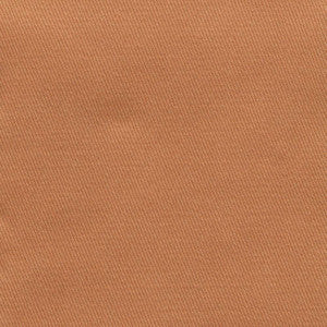 Grand Soiree Nectar by Kasmir Fabric