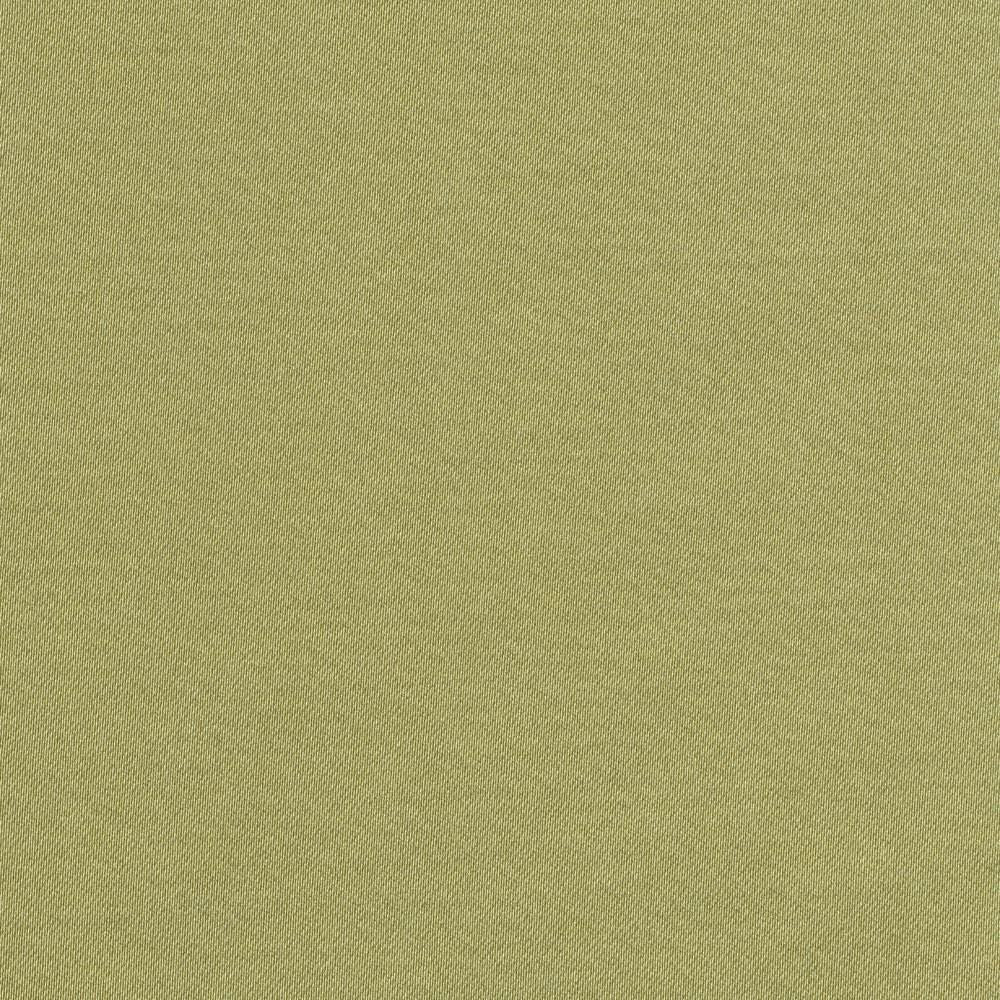 Grand Soiree Pistachio by Kasmir Fabric 1381 60% Polyester
40% Cotton
 INDIA </p><p>Repeat: Horizontal: N/A and Vertical: N/A 54 - 55 - Fabric Carolina -