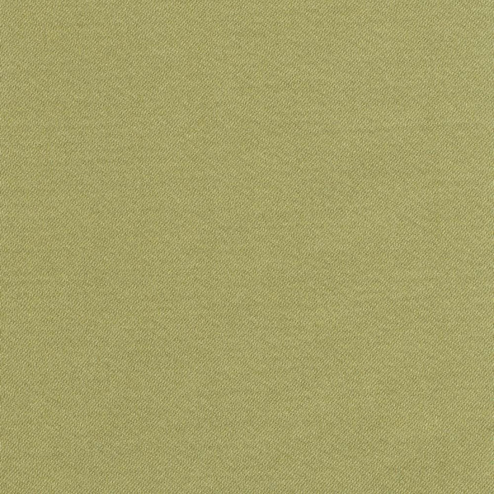 Grand Soiree Pistachio by Kasmir Fabric 1381 60% Polyester
40% Cotton
 INDIA </p><p>Repeat: Horizontal: N/A and Vertical: N/A 54 - 55 - Fabric Carolina -