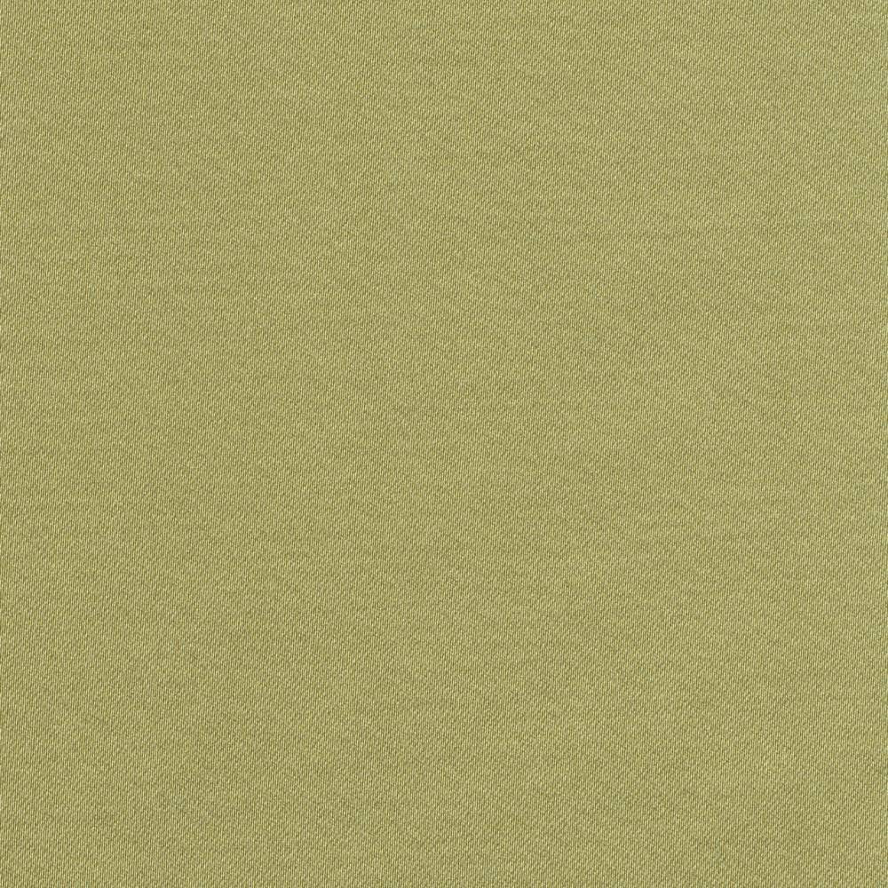 Grand Soiree Pistachio by Kasmir Fabric 1381 60% Polyester 40% Cotton INDIA 60,000 Wyzenbeek Double Rubs H: N/A, V:N/A 54 - 55 - Fabric Carolina - Kasmir