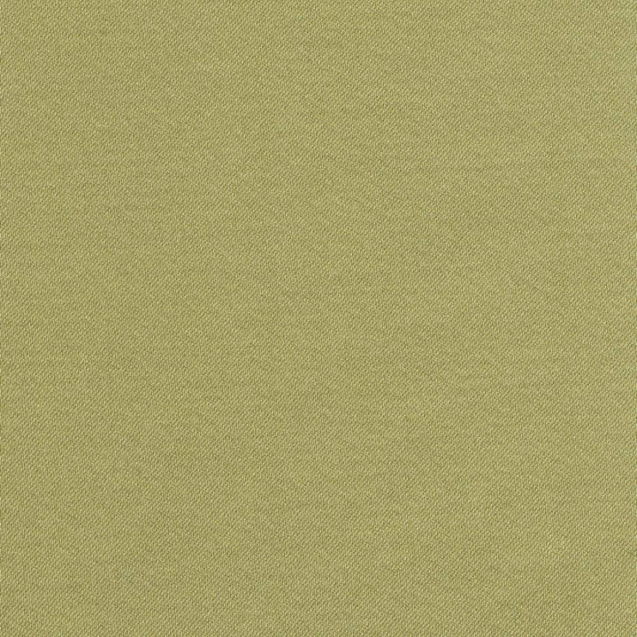 Grand Soiree Pistachio by Kasmir Fabric 1381 60% Polyester 40% Cotton INDIA 60,000 Wyzenbeek Double Rubs H: N/A, V:N/A 54 - 55 - Fabric Carolina - Kasmir