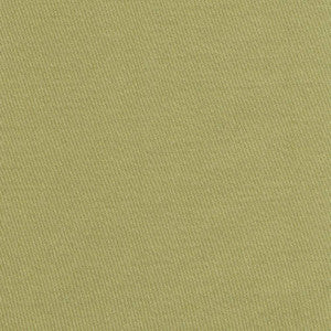 Grand Soiree Pistachio by Kasmir Fabric
