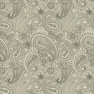 Graphic Paisley Grey by Kasmir Fabric