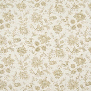Graveur Camel by Kasmir Fabric