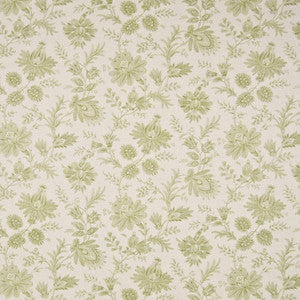 Graveur Pistachio by Kasmir Fabric