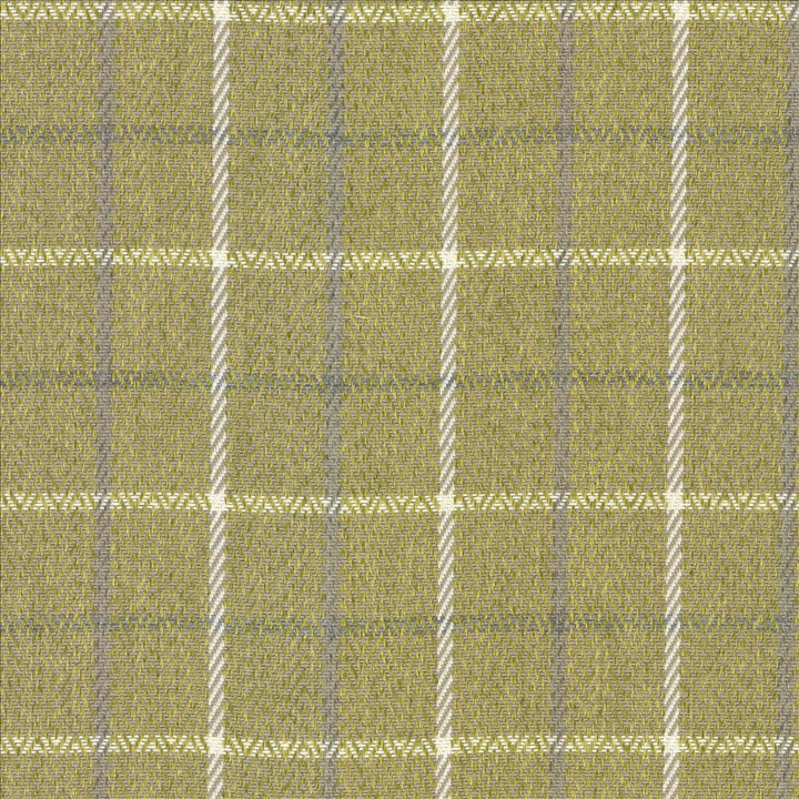 Greenway Plaid Chartreuse by Kasmir Fabric 5090 100% Polyester
 CHINA 51,000 Wyzenbeek Double Rubs </p><p>Repeat: Horizontal: 2 6/8 inches and Vertical: 2 6/8 inches 54 - Fabric Carolina -