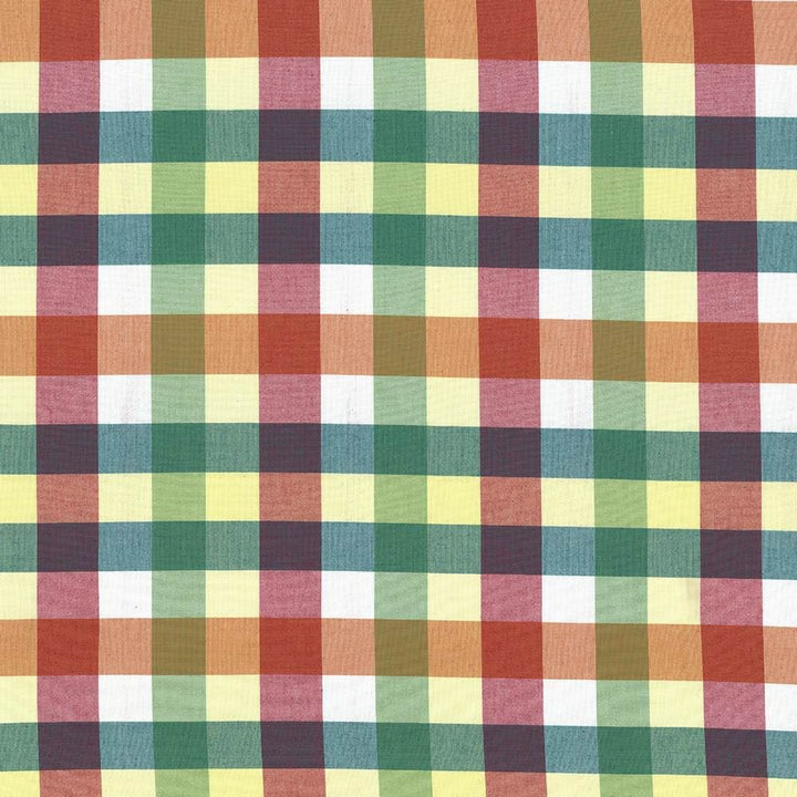 Grimaldi Check Summer by Kasmir Fabric 5069 100% Cotton
 INDIA 30,000 Wyzenbeek Double Rubs </p><p>Repeat: Horizontal: 6 6/8 inches and Vertical: 13 4/8 inches 54 - Fabric Carolina -