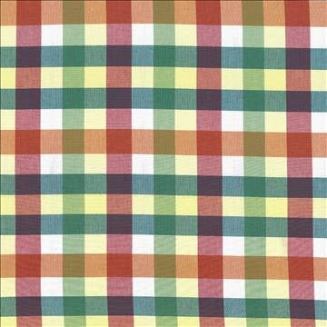 Grimaldi Check Summer by Kasmir Fabric 5069 100% Cotton INDIA 30,000 Wyzenbeek Double Rubs H: 6 6/8 inches, V: 13 4/8 inches 54 - Fabric Carolina - Kasmir