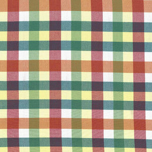 Grimaldi Check Summer by Kasmir Fabric