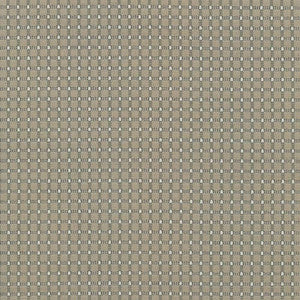 Guideline Ironstone by Kasmir Fabric