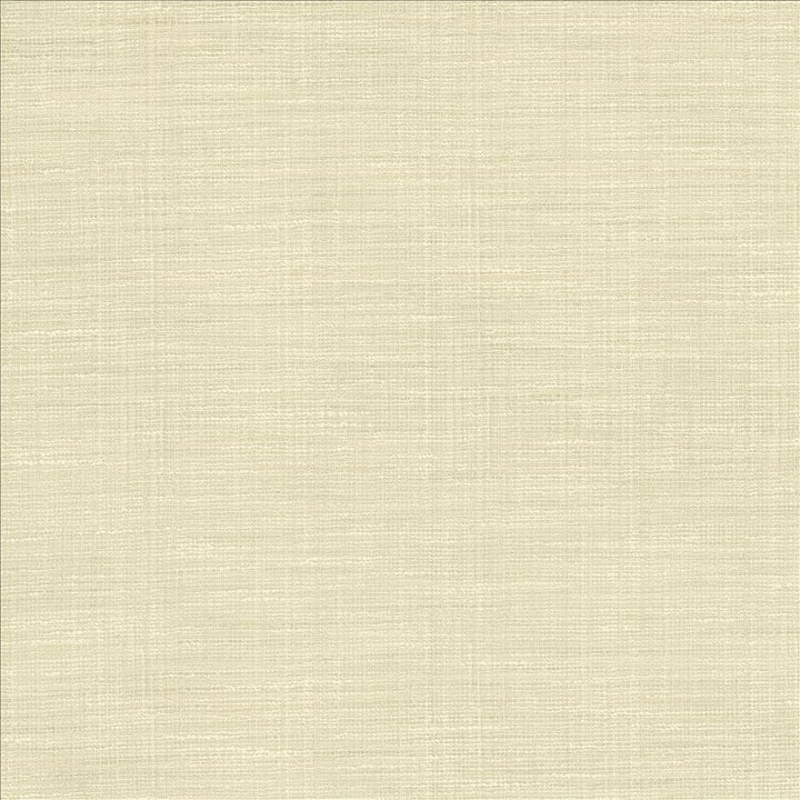 Guillermo Alabaster by Kasmir Fabric 1461 91% Polyester
9% Rayon
 INDIA </p><p>Repeat: Horizontal: N/A and Vertical: N/A 56 - Fabric Carolina -