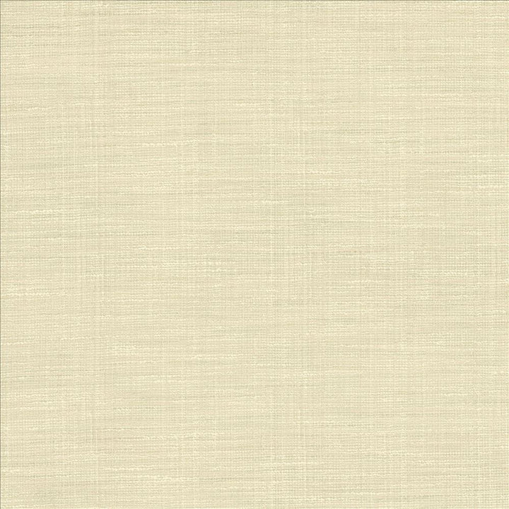 Guillermo Alabaster by Kasmir Fabric 1461 91% Polyester
9% Rayon
 INDIA 100,000 Wyzenbeek Double Rubs </p><p>Repeat: Horizontal: N/A and Vertical: N/A 56 - Fabric Carolina -