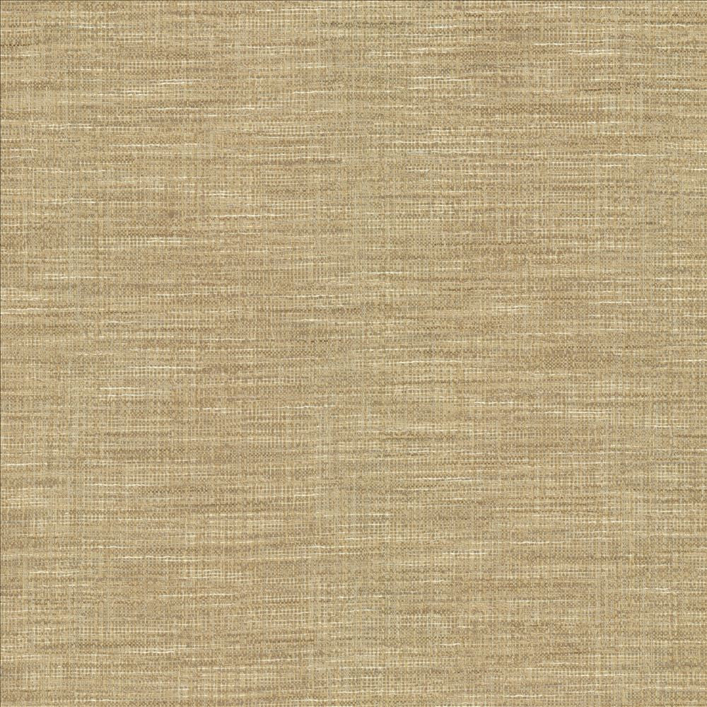 Guillermo Silver by Kasmir Fabric 1461 91% Polyester
9% Rayon
 INDIA 100,000 Wyzenbeek Double Rubs </p><p>Repeat: Horizontal: N/A and Vertical: N/A 56 - Fabric Carolina -
