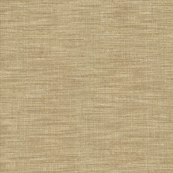 Guillermo Silver by Kasmir Fabric 1461 91% Polyester
9% Rayon
 INDIA 100,000 Wyzenbeek Double Rubs </p><p>Repeat: Horizontal: N/A and Vertical: N/A 56 - Fabric Carolina -