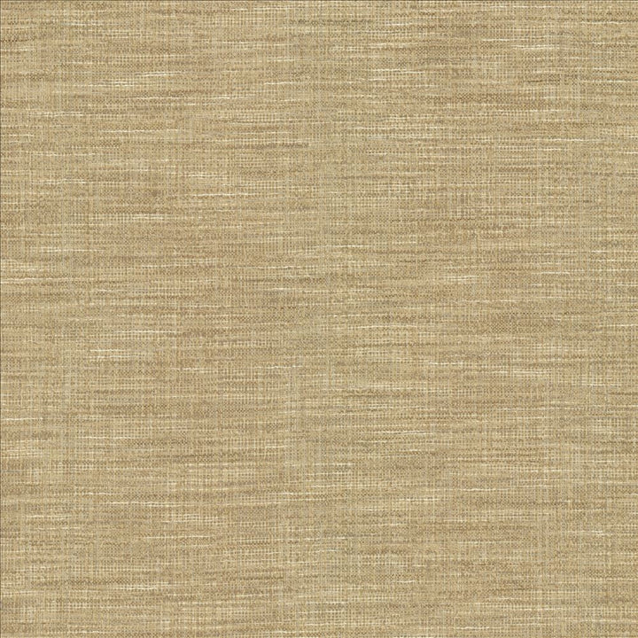 Guillermo Silver by Kasmir Fabric 1461 91% Polyester
9% Rayon
 INDIA 100,000 Wyzenbeek Double Rubs Horizontal: N/A and Vertical: N/A 56 - Fabric Carolina -