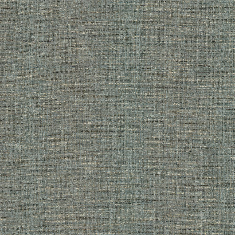 Guillermo Slate by Kasmir Fabric 1461 91% Polyester
9% Rayon
 INDIA 100,000 Wyzenbeek Double Rubs Horizontal: N/A and Vertical: N/A 56 - Fabric Carolina -