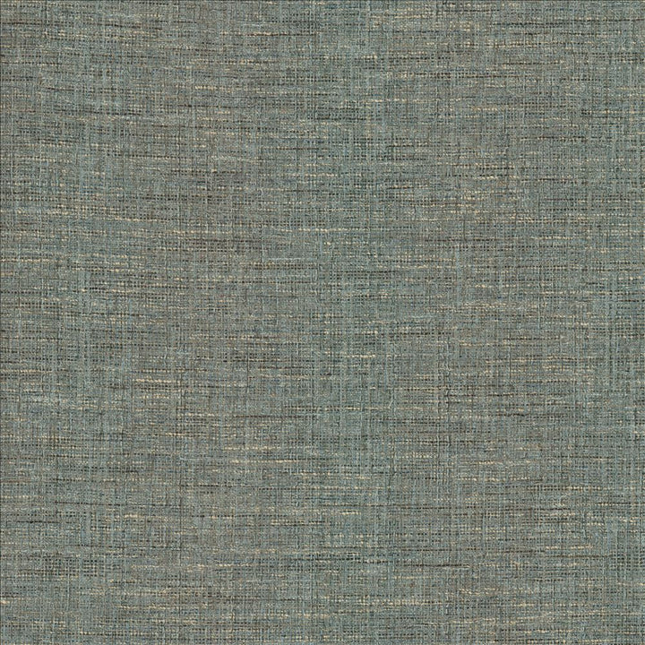 Guillermo Slate by Kasmir Fabric 1461 91% Polyester
9% Rayon
 INDIA 100,000 Wyzenbeek Double Rubs </p><p>Repeat: Horizontal: N/A and Vertical: N/A 56 - Fabric Carolina -