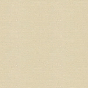 Canopy Solid Vellum by Groundworks Fabric