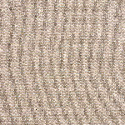 Mirage Chenille Birch by Groundworks Fabric