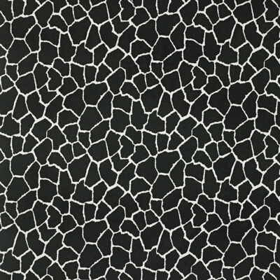Masai Mara Black by Groundworks Fabric