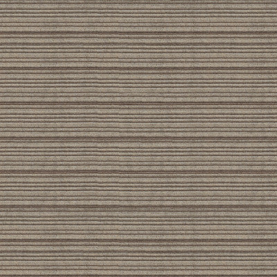 Thomas Velvet Grey by Groundworks Fabric