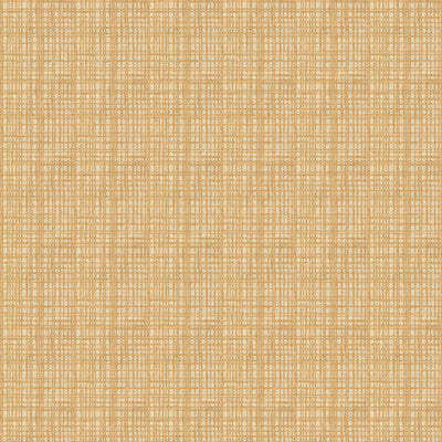 Openweave Sand by Lee Jofa Modern Fabric
