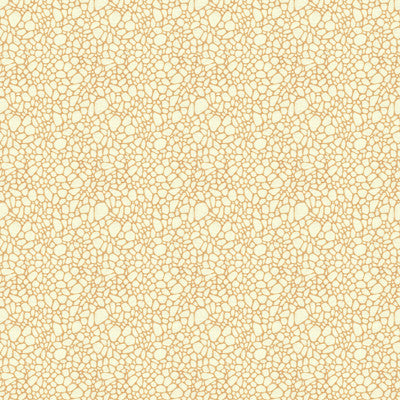 Pavimento Conch by Lee Jofa Modern Fabric