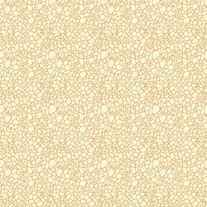 Pavimento Conch by Lee Jofa Modern Fabric