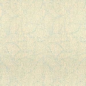 Breakwater Robin'S Egg by Lee Jofa Modern Fabric
