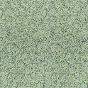 Breakwater Bay by Lee Jofa Modern Fabric