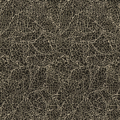 Breakwater Black by Groundworks Fabric