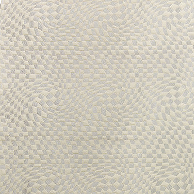 Ionic Salt/Silver by Lee Jofa Modern Fabric