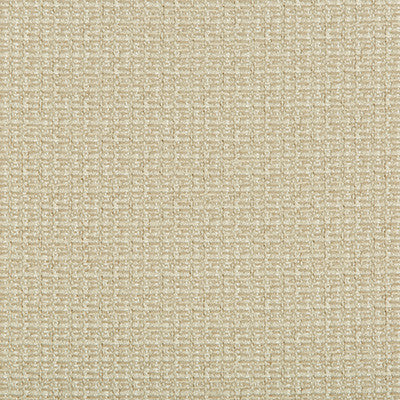 Coupe Rattan by Lee Jofa Modern Fabric