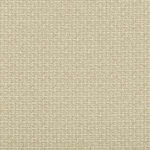 Coupe Rattan by Lee Jofa Modern Fabric