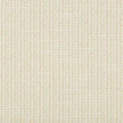 Coupe Salt by Lee Jofa Modern Fabric
