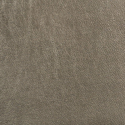 Trophy Silver by Groundworks Fabric